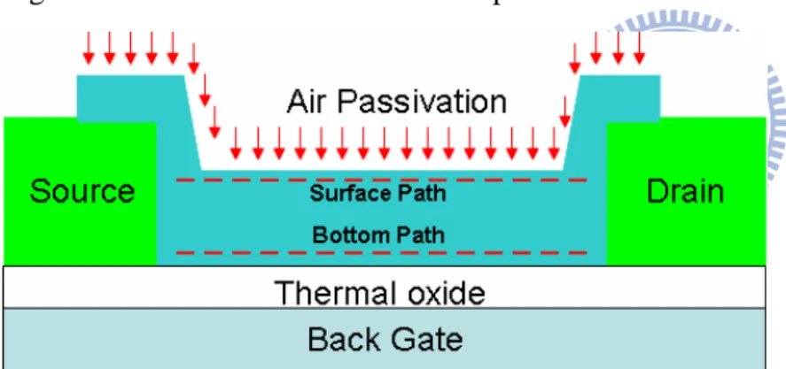 Figure 3-2: The paths for carriers to go through the channel. 