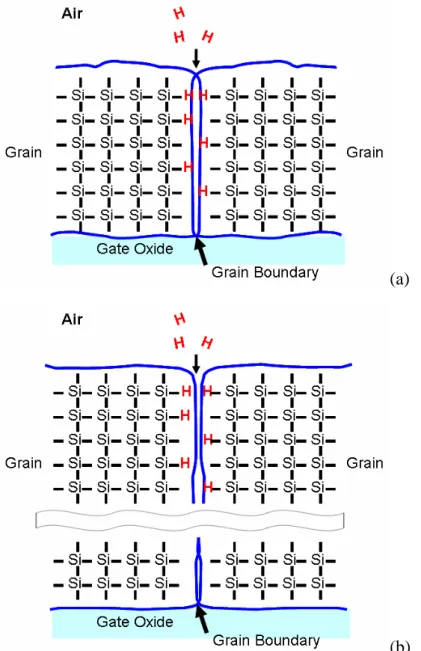 Figure 3-5: (a) When returning to the normal air from vacuum, the H-related species diffuse  from the moisture in the air to the poly-Si through the grain boundaries and may passivate the  defects therein