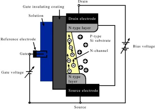 Figure 1-1  Basic Structure and Operation of N-channel ISFET