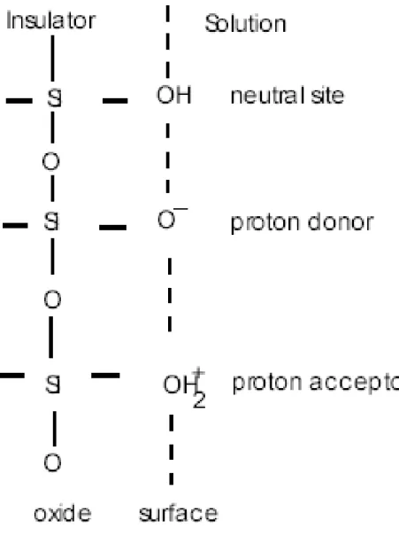 Figure 2-5 Schematic representation of the side-binding model 
