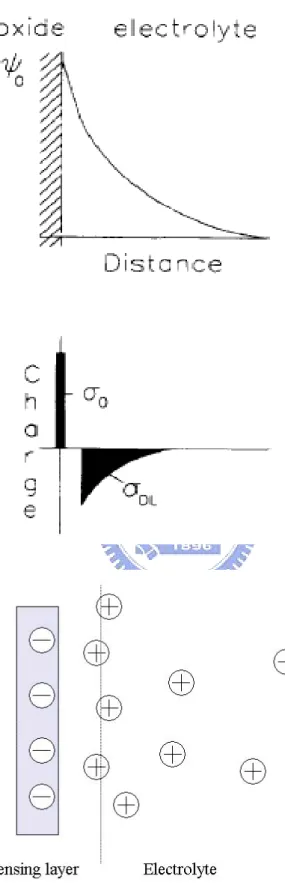 Figure 2-6 Potential profile and charge distribution at an oxide electrolyte solution  interface 