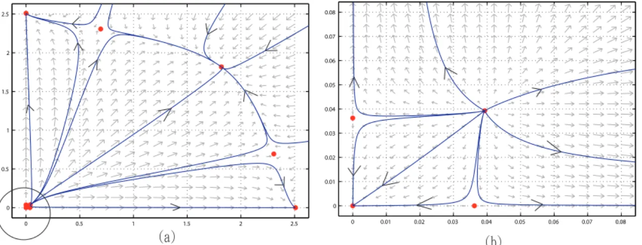 Figure 9: Figure (b) is a zoom-in of (a) near the origin. There exist nine equi- equi-libria: four equilibria are stable and five are unstable