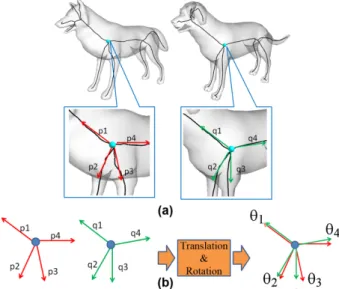 Figure 5: Skeletal branch correspondence for a junction node pair. The local orientations of the skeletal branches are similar: (a) compute a branch vector for each skeletal branch; (b) compute the rotation transformation R which minimizes the sum of the d
