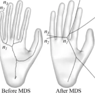 Figure 6: The two skeletons are obtained before and after applying MDS, respectively. The two branches (n 1 , n 2 ) and (n 1 , n 3 ) are symmetric with respect to the junction node n 1 after MDS is performed.