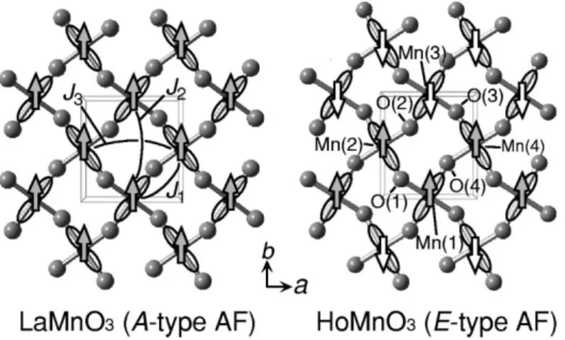 Figure 1.3 Crystal structures of LaMnO 3  and HoMnO 3 . Spin (arrows) and orbital  (lobes) ordered features are also illustrated