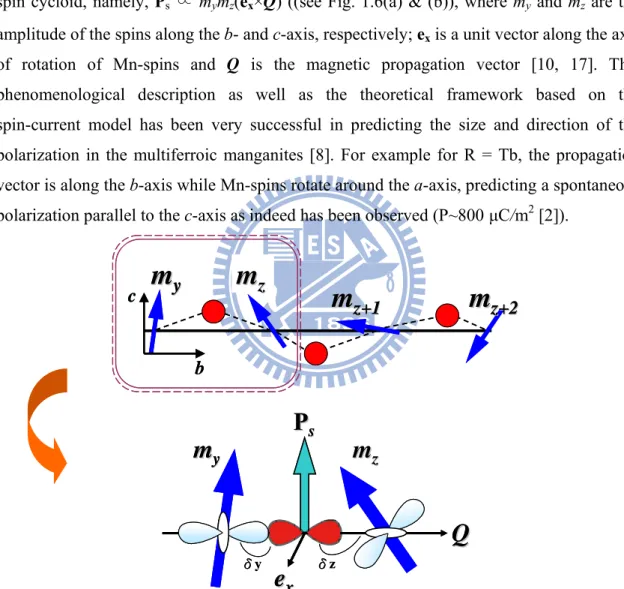 Figure 1.6 (a) The bc-plane of the spin structure and positions occupied by the O ions  (red circles)