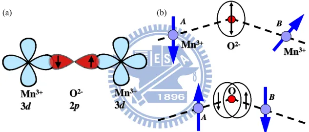 Figure 2.1 (a) The overlap between the wave functions of O 2-  2p and Mn 3+  3d states for  the superexchange interaction
