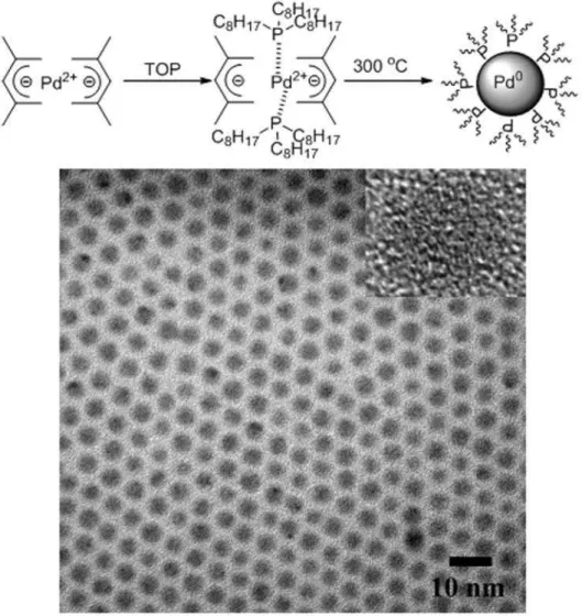 Figure 1-17. (a) Mechanism of thermal decomposition of metal complexes into Pd  NCs  and  (b)  TEM  image  of  5-nm-diameter  monodisperse  Pd  NPs