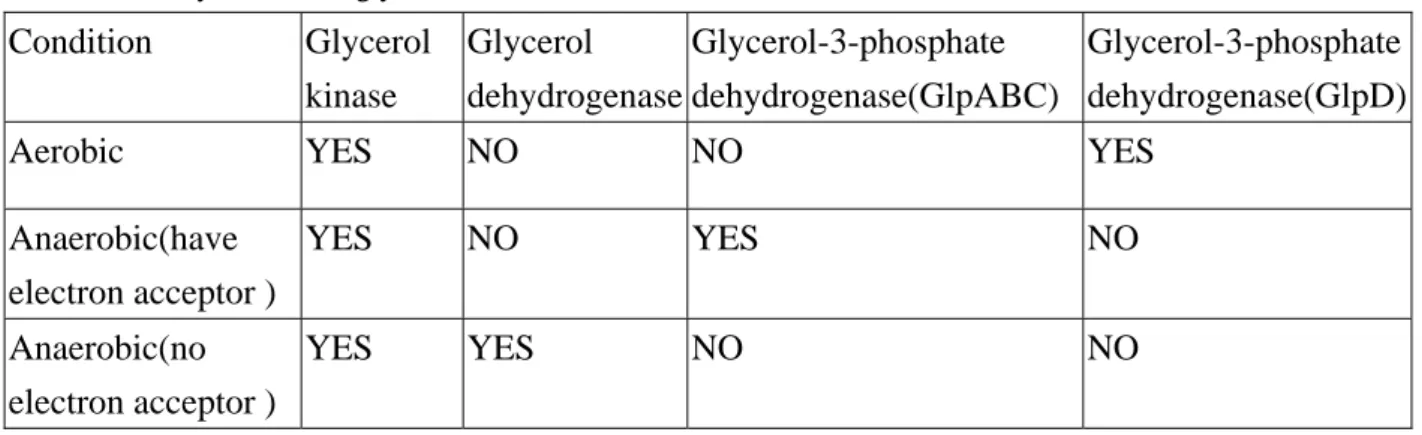 Table 2.1 Enzymes related glycerol utilization in Escherichia coli  Condition   Glycerol  kinase  Glycerol  dehydrogenase Glycerol-3-phosphate  dehydrogenase(GlpABC)  Glycerol-3-phosphate dehydrogenase(GlpD)