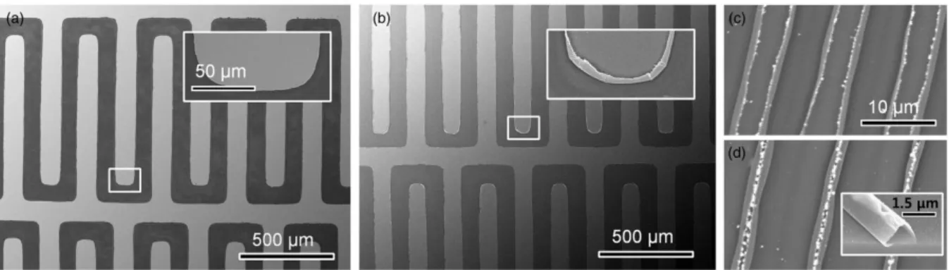 Figure 2.1 SEM images of Ag/Au pattern (a), Al/Ag pattern (b), edge-peeled Al/Ag stripe  pattern fabricated by two-beam interference (c), and micro-tubes formed by furtherincreasing 