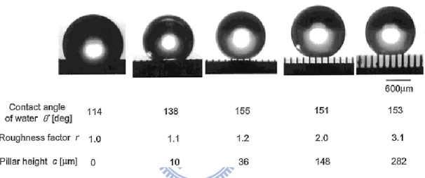 Figure 2.8 Pictures of 1 mg water droplets on prepared pillar structures [18]. 