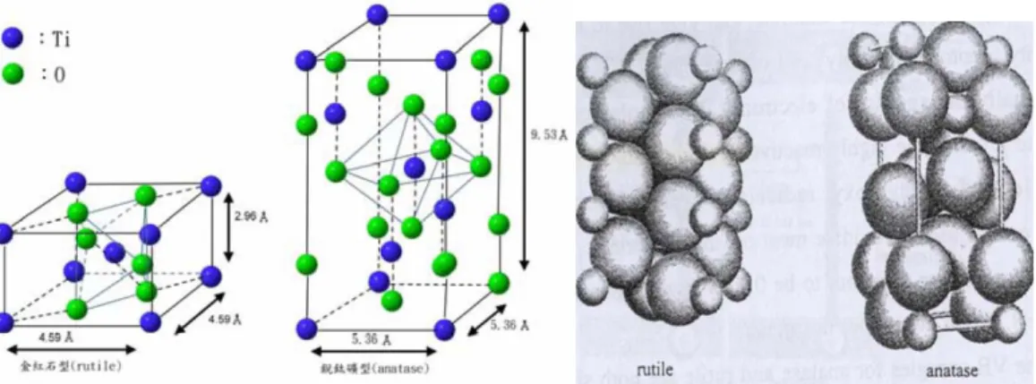 圖 2- 3：金紅石和銳鈦礦之晶胞結構示意圖(Fujishima et al., 1999) 