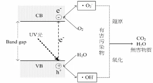 圖 2- 4：光觸媒催化反應機制圖 
