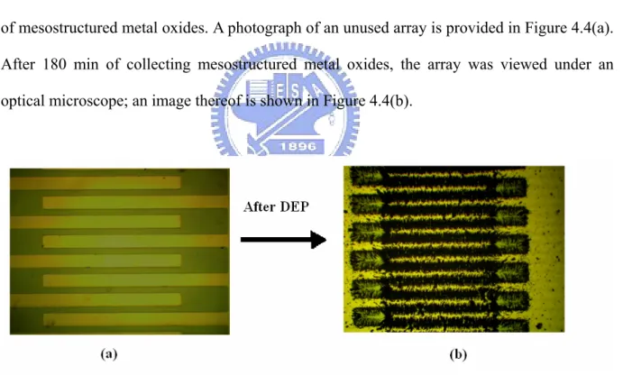 Figure 4.4 OM images: (a) Before the DEP immobilized and (b) after the DEP immobilized  the mesostructured metal oxide samples