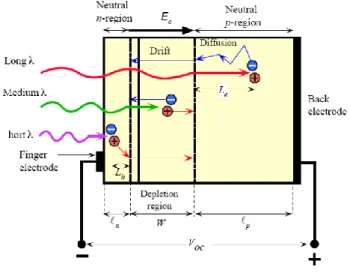Figure 2.2-1 Illustrations of the carrier generation, carrier diffusion and carrier  drift in solar cell 