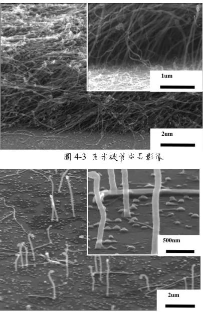 圖 4-3  奈米碳管成長影像  1um  2um  500nm    圖 4-4  經過超音波震盪後的奈米碳管  2um  圖 4-5  奈米碳管觸媒顆粒 Catalyst  particles  500nm 2um 
