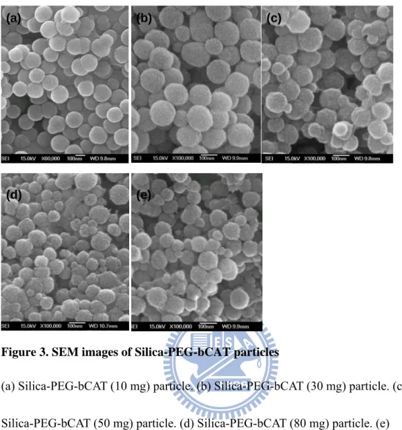 Figure 3. SEM images of Silica-PEG-bCAT particles 