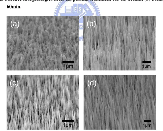 Fig. 4.6 SEM images of carbon nanotubes using Cr as catalyst with different H 2  flows; (a)  H 2 /CH 4 =20/10, (b) H 2 /CH 4 =30/10, (c) H 2 /CH 4 =40/10, (d) H 2 /CH 4 =50/10