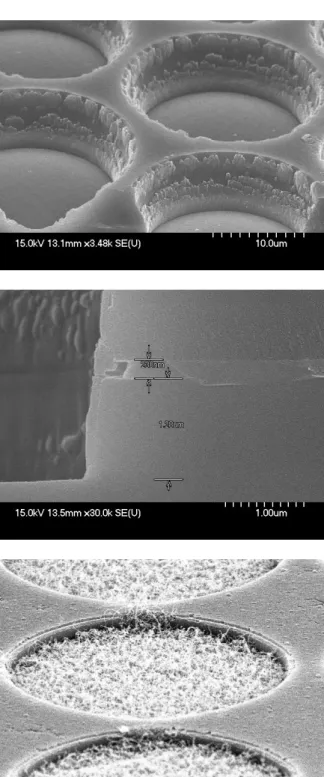 Fig. 1 (a) grow 1 um thermal oxide on N-type  (100) silicon wafer and deposit 200 nm  poly-silicon by LP-CVD (b) pattern by  lithography and etch poly and oxide by RIE (c)  deposit catalyst metal by E-Gun (d) lift-off the  catalyst and grow CNTs by thermal