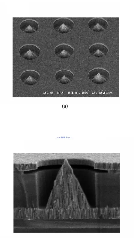 Fig. 1-3 The SEM micrograph of (a)Spindt type triodes array, (b) Spindt type field  emission triode 