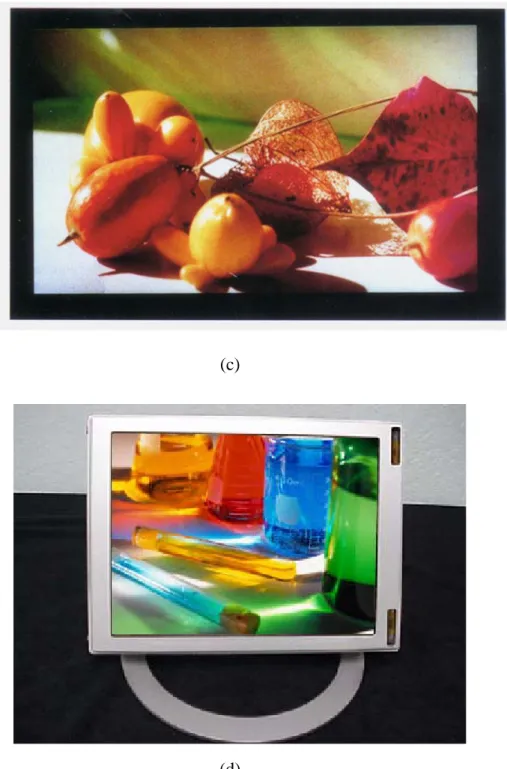 Fig. 1-4 The FED products based on Spindt type field emitters, (a) motorola 5.6”  color FED, (b) Pixtech 5.6” color FED,(c) Futaba 7” color FED and (d)  Sony/Candescent 13.2” color FED