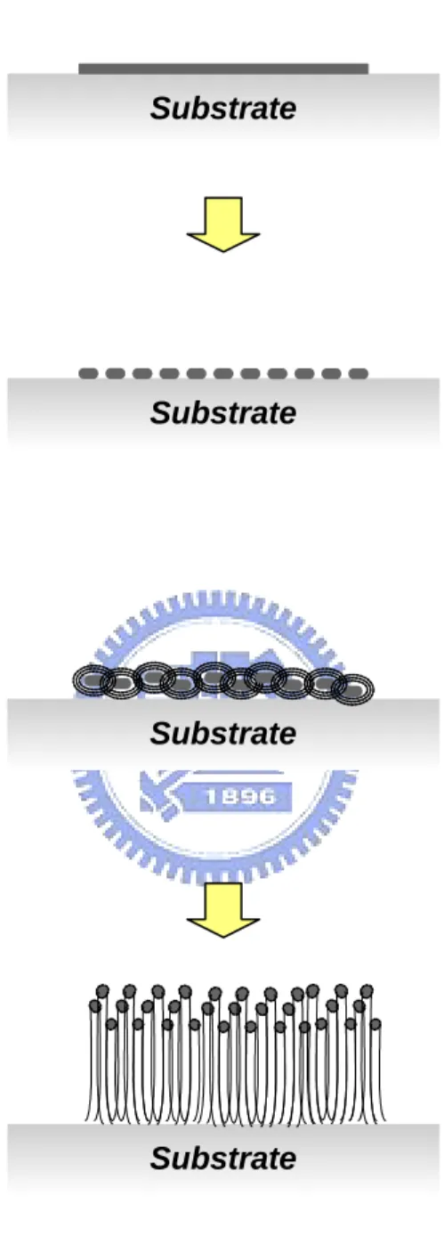 Fig. 2-3 Growth mechanism of carbon nanotubes by MPECVD. 