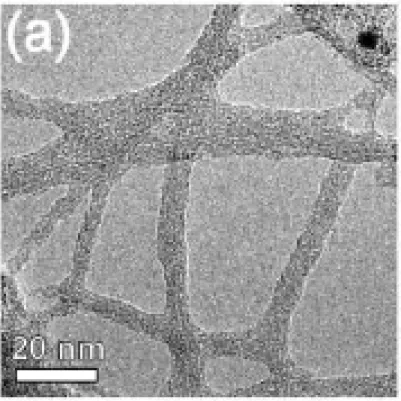 圖 1-8   奈米碳管管壁吸附有機物之穿透式電子顯微鏡 (TEM) 照 [35] 。