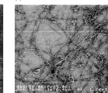 Fig. 4-1. (a) SEM image of CNT coating with lower-purity CNT powder. Many catalyst  particles could be observed around CNTs