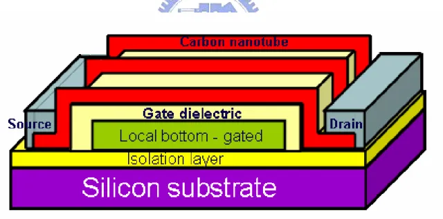 圖 1-9 區域性背閘極奈米碳管電晶體之結構示意圖      