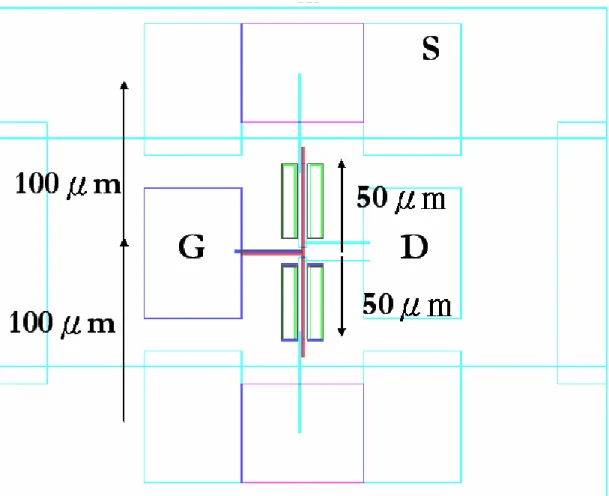 圖 2-2 區域性單指狀背閘極奈米碳管電晶體之光罩設計圖 