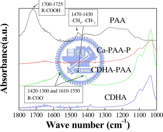 圖 4-30. 固定 CDHA/PAA 含量，不同 CDHA/PAA 製程粉末之 FTIR 