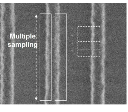 Figure 2.3: The scanning electron microscope image for multiple sampling, each sample then mapped into the channel region to estimate the magnitude of the gate length deviation and the line edge roughness.