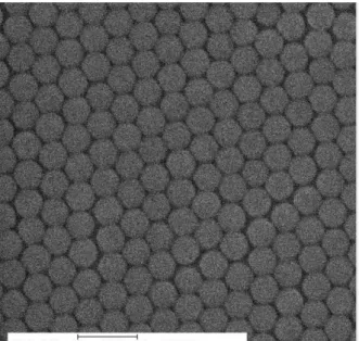 圖 3-2  單層聚苯乙烯奈米球排列於試片表面 SEM 圖 