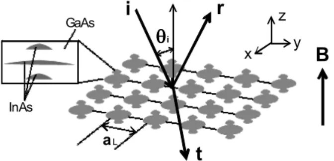 Fig. 2. Schematic of magneto-optical response from a layer of triple quantum dot molecules