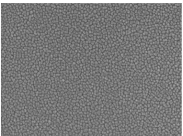 Figure 3. 1 SEM im ages are arranged as (A) 