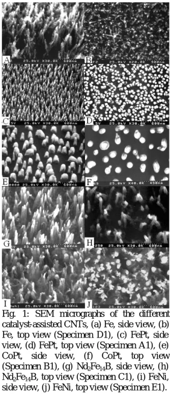 Fig.  1: SEM  micrographs of the different  catalyst-assisted CNTs, (a) Fe, side view, (b)  Fe, top view (Specimen D1), (c) FePt, side  view, (d) FePt, top view (Specimen A1), (e)  CoPt, side view, (f) CoPt, top view  (Specimen B1), (g)  Nd 2 Fe 14 B, side