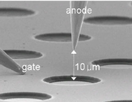 Figure 1.  Fabrication steps for the TiO 2 