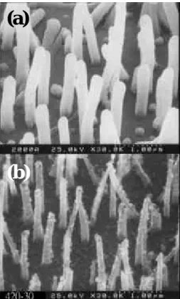 Fig. 8:  J-E curves of the as-grown CNTs after  post-treatment under various conditions