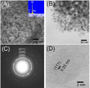 Figure 2. (A) SEM and EDS (inset), (B) TEM, (C) ED, and (D) HRTEM  images of II, prepared from SiMeCl 3 