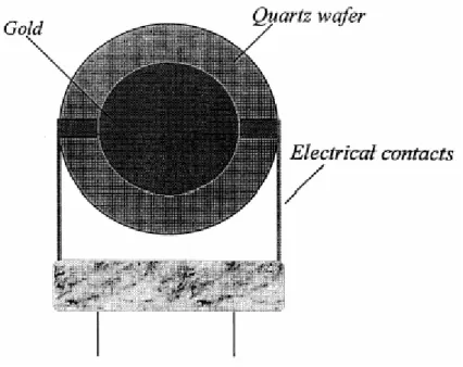 Figure 1.2. Schematic diagram of a typical QCM.[11] 