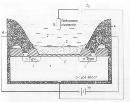 Figure 1.10 Schematic of a field-effect transistor with a chemically sensing gate surface  (CHEMFET): 1, silicon substrate; 2, Insulator; 3, chemically sensitive membrane; 4, source; 5,  drain; 6, insulating encapsulant; 7, analyte solution; 8, reference e