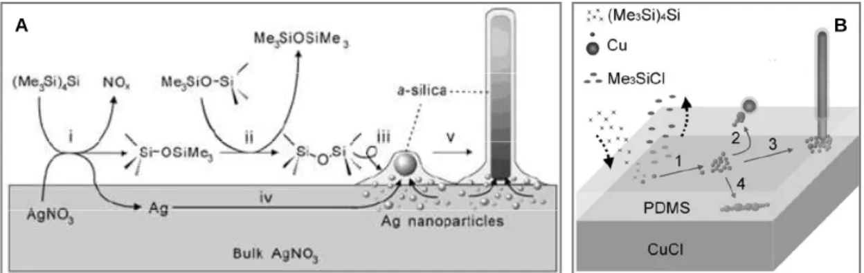 Figure  1.5  Scheme  of  cable-like  NWs  growth  mechanism  (A)  Ag/SiO 2   NWs  (B)  Cu/PDMS NWs
