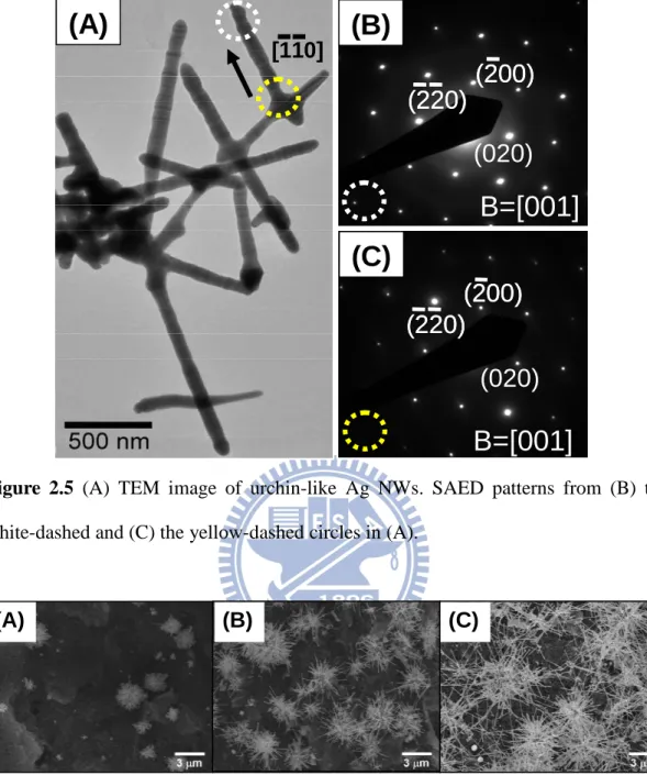 Figure  2.6  Effect  of  lengths  of  growth  time.  SEM  images  of  urchin-like  Ag  NWs  grown for (A) 1 h, (B) 3 h, and (C) 6 h