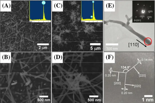 Figure  2.8  SEM  images  of  Ag  NWs  on  ITO  substrates  with  different  kinds  seeding  laeyer