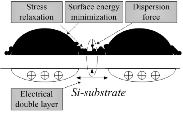 Fig.  1-6  Schematic  illustration  of  the  driving  forces  in  the  self-assembly  process  [1.23]