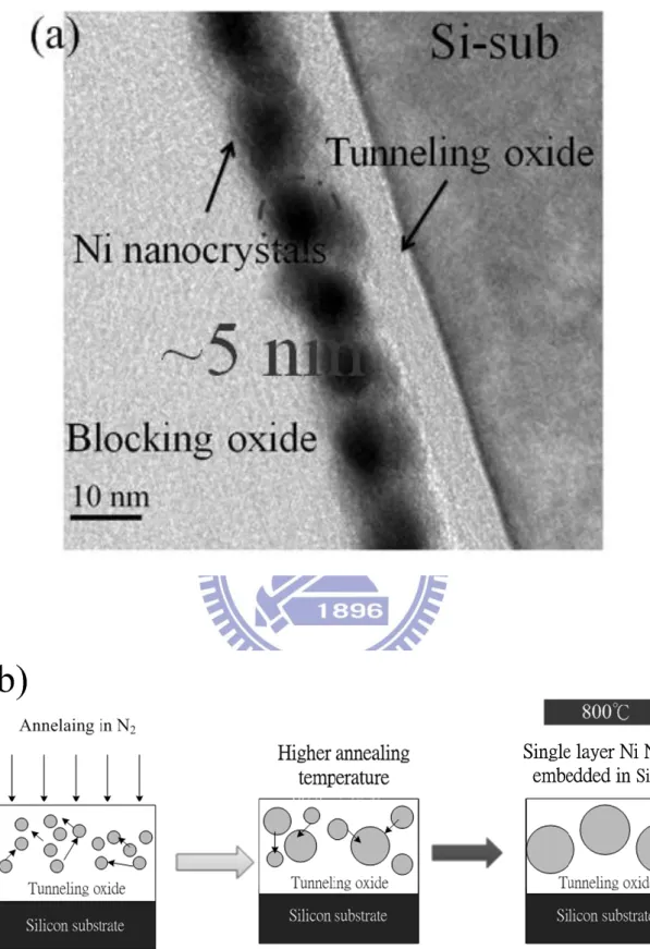 Fig. 3-5 (a) The cross-section TEM micrographs and (b) forming process of the Ni  NC at 800℃  annealing for 1 min