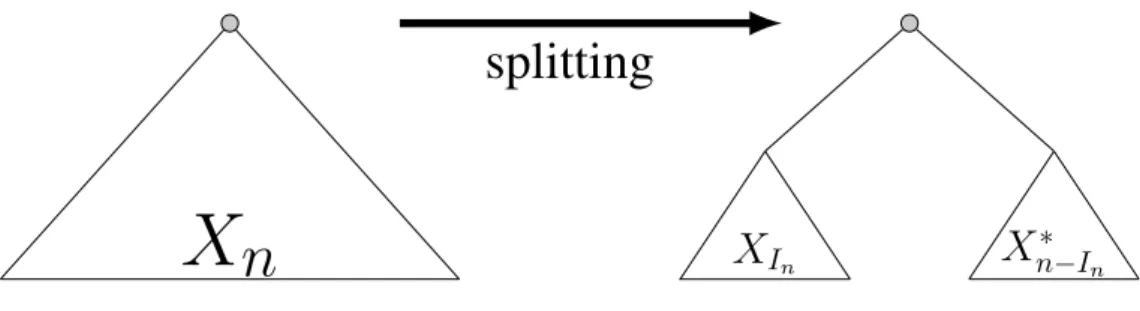 Figure 1.4: Splitting the tree into three parts: root, left sub-tree and right sub-tree