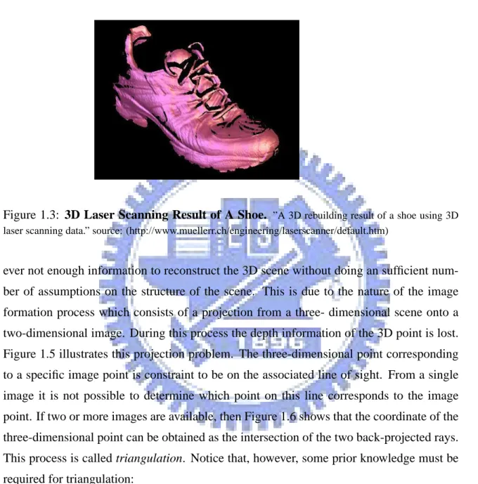 Figure 1.3: 3D Laser Scanning Result of A Shoe. ”A 3D rebuilding result of a shoe using 3D laser scanning data.” source: (http://www.muellerr.ch/engineering/laserscanner/default.htm)
