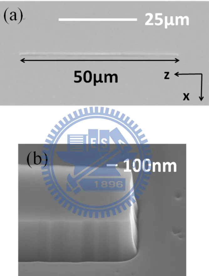 Fig. 3.1.2 SEM Image of Metal-coated GaN Nanostripe (a) Top View of the GaN  Nanostripe before Deposition of Shielding Layers