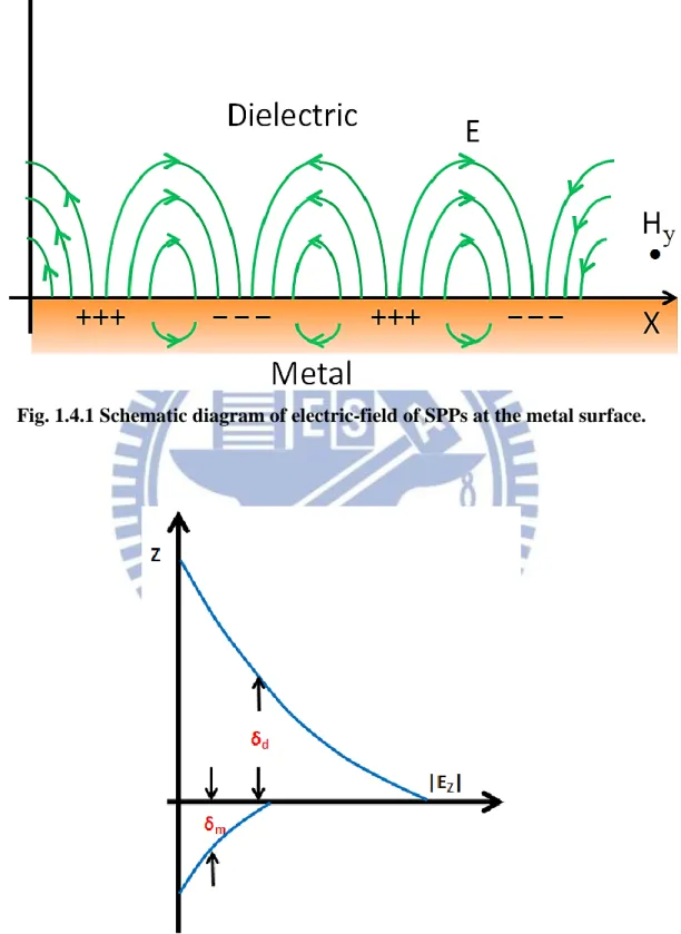 Fig. 1.4.1 Schematic diagram of electric-field of SPPs at the metal surface. 